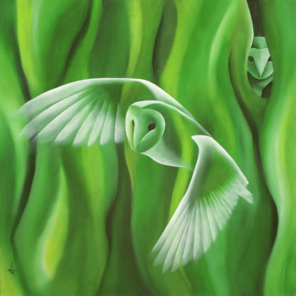 KATE CREE ART - FFAF LTD