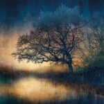 Mark Munroe-Preston